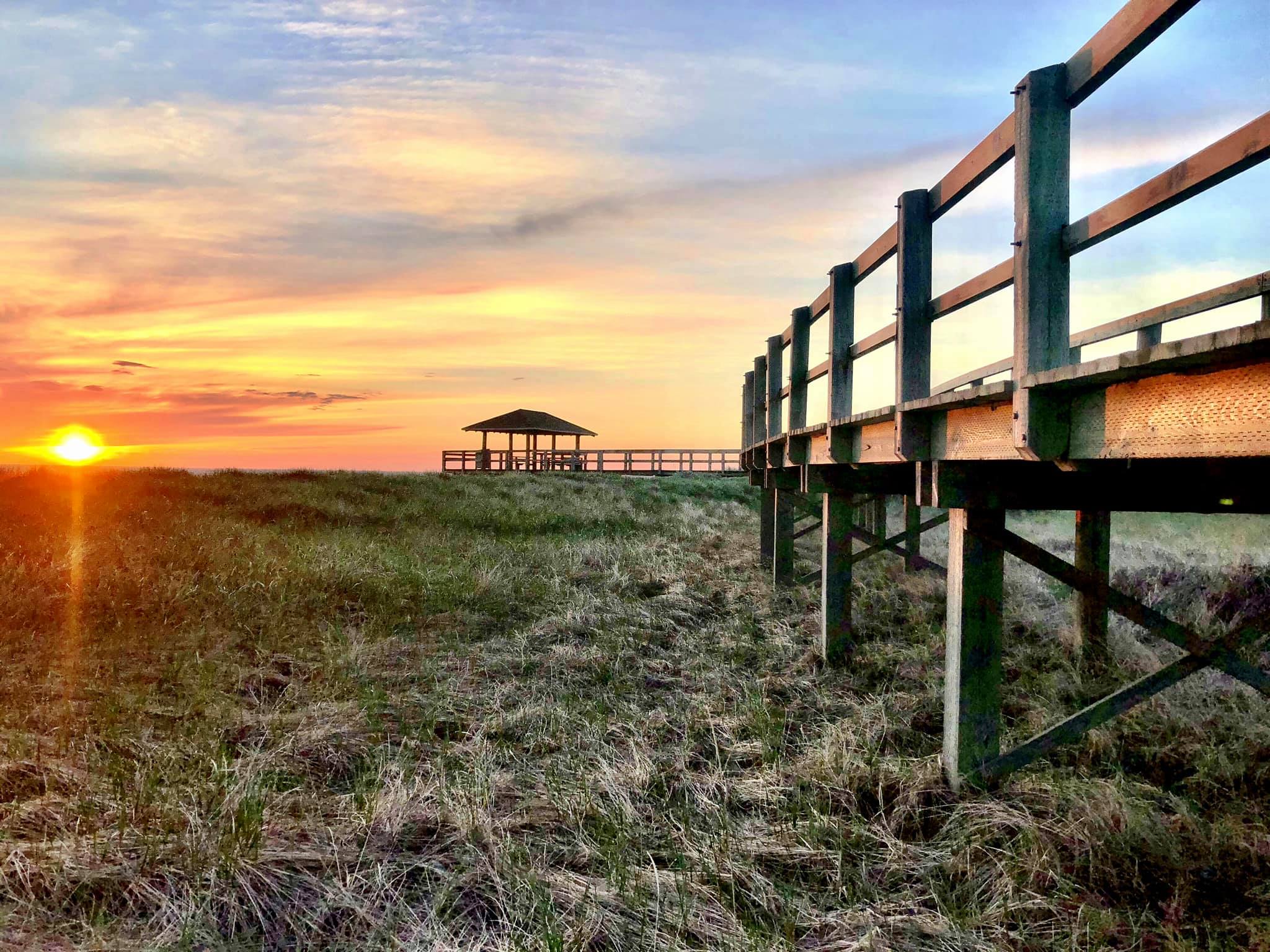 Dune_Wetlands_Serge